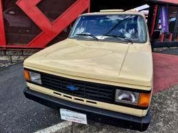 CHEVROLET - D20 - 1988/1989 - Bege - R$ 89.000,00
